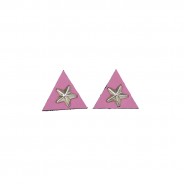 Baby Pink & Gold Star Collar Tips