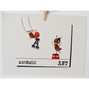 Acrobatic Ants