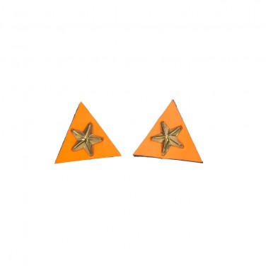 Neon Orange & Gold Star Collar Tips